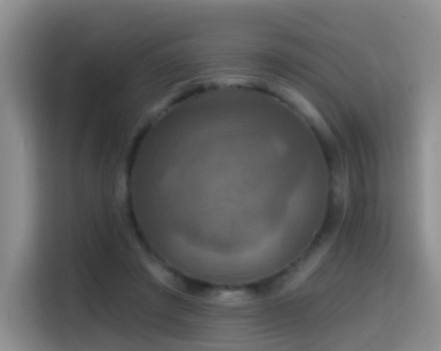 X0000114610401200910201156