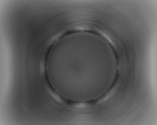 X0000114610402200910201156