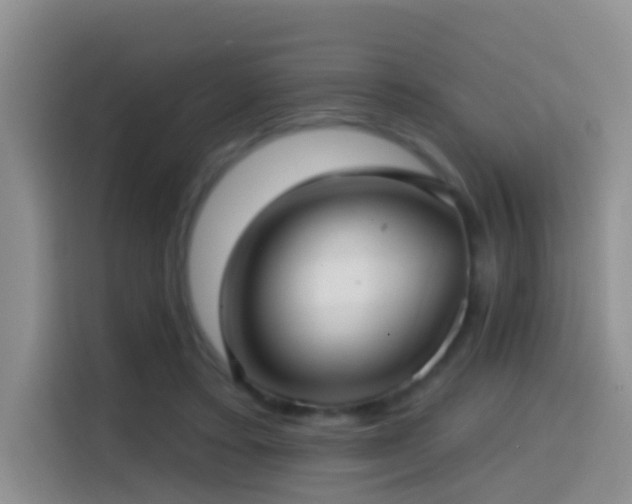 X0000114610403200910201156