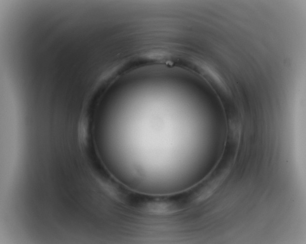 X0000114610404200910201156