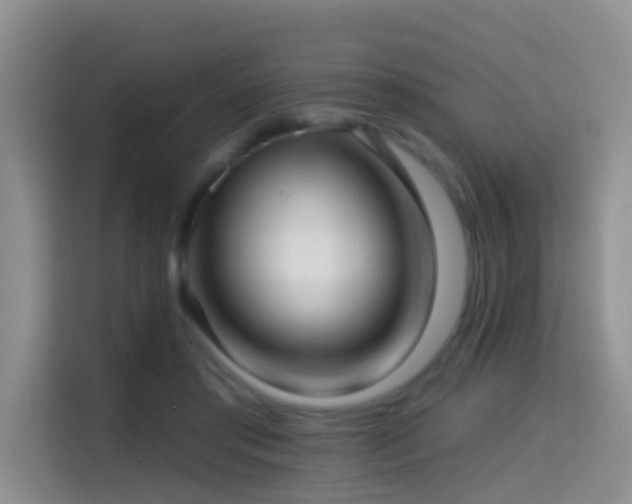 X0000114610405200910201156