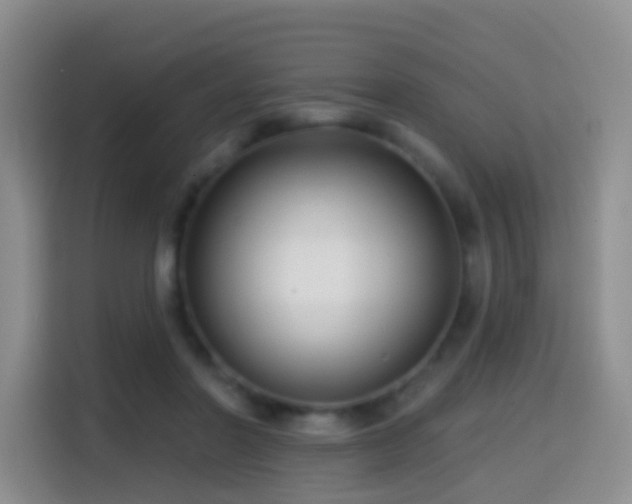 X0000114610406200910201156