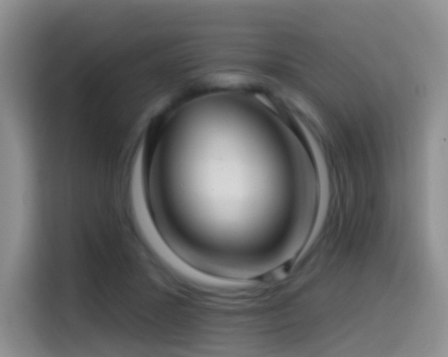 X0000114610407200910201156