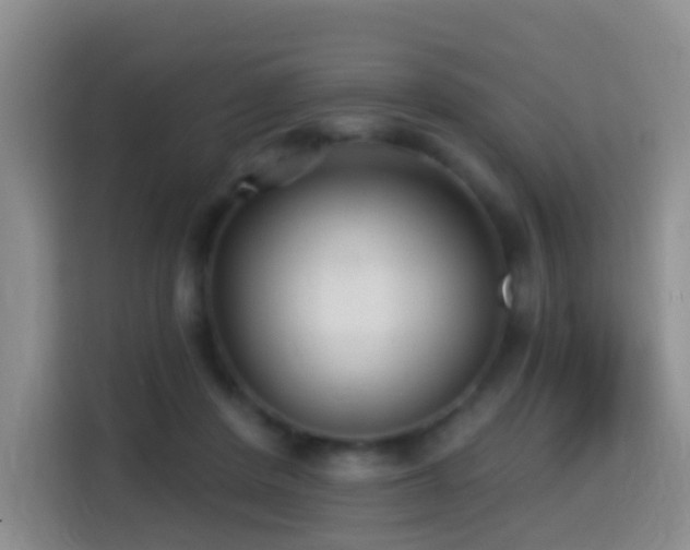 X0000114610408200910201156