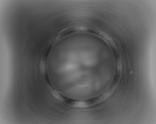 X0000114610409200910201156