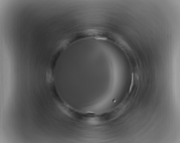 X0000114610411200910201156