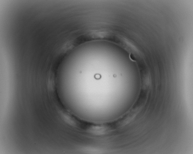 X0000114610414200910201156