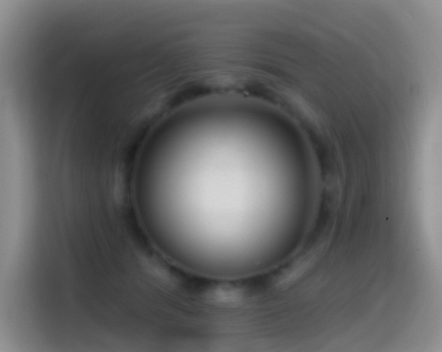 X0000114610416200910201156