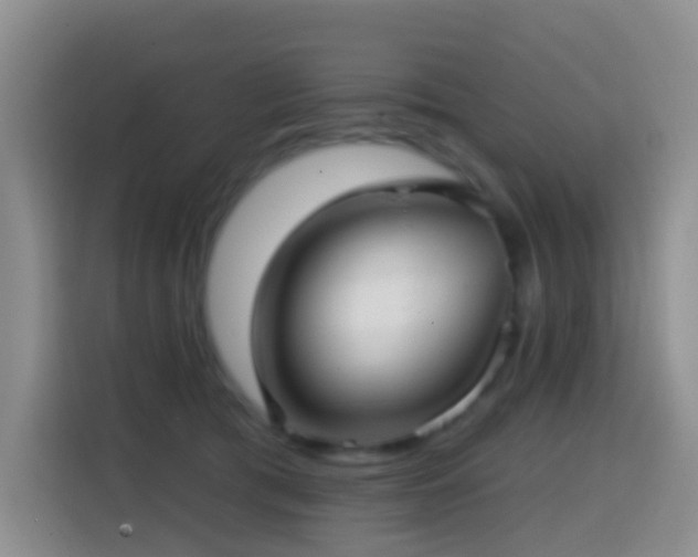 X0000114610417200910201156