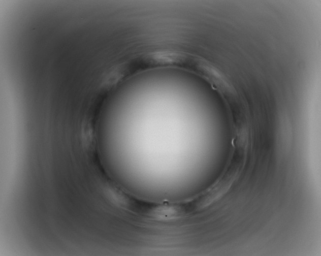 X0000114610418200910201156