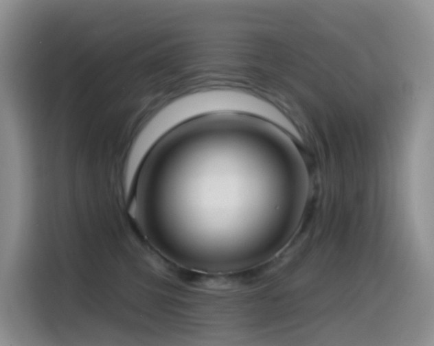 X0000114610423200910201156