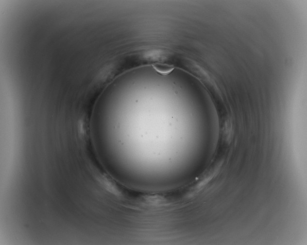 X0000114610424200910201156