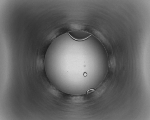 X0000114610426200910201156