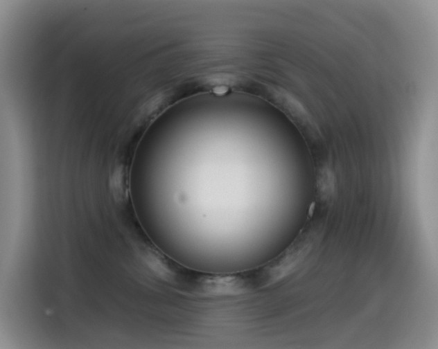 X0000114610428200910201156