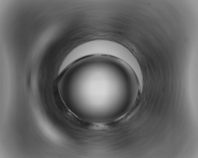 X0000114610429200910201156