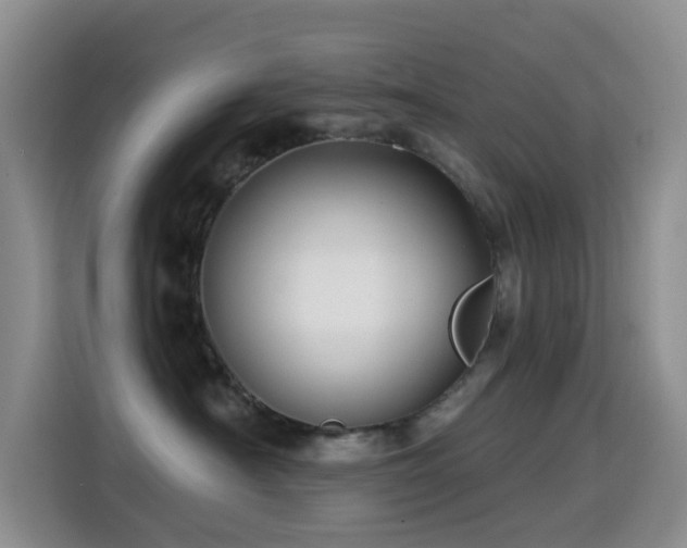 X0000114610430200910201156