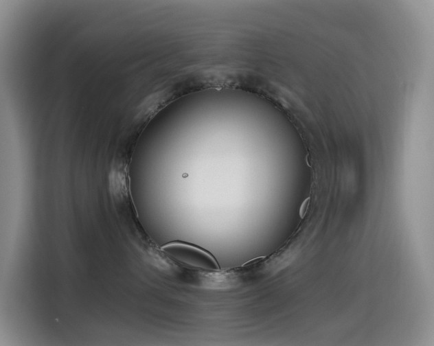 X0000114610432200910201156