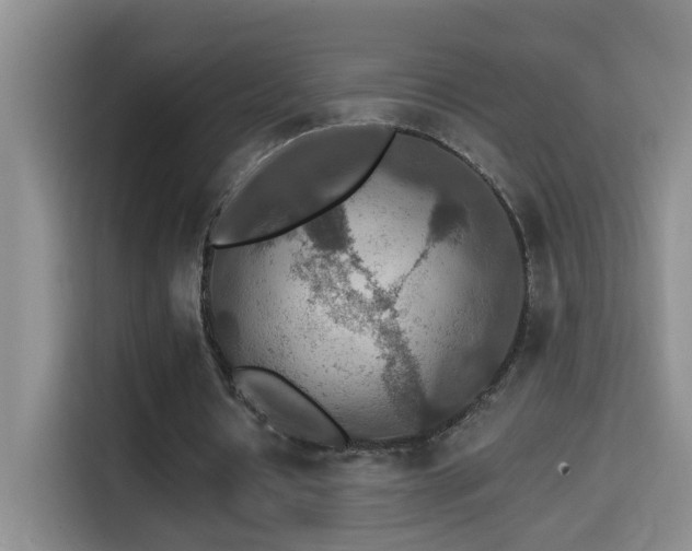 X0000114610434200910201155