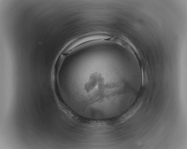 X0000114610435200910201155