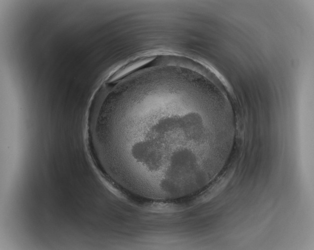 X0000114610437200910201155