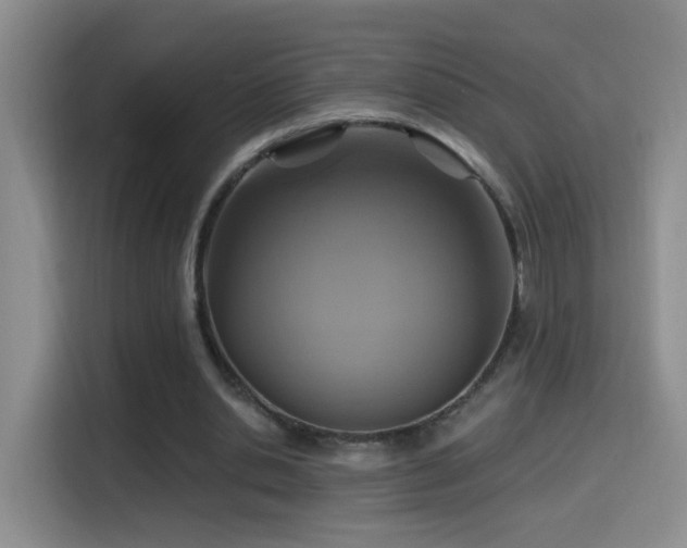 X0000114610438200910201155