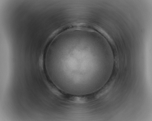 X0000114610442200910201156