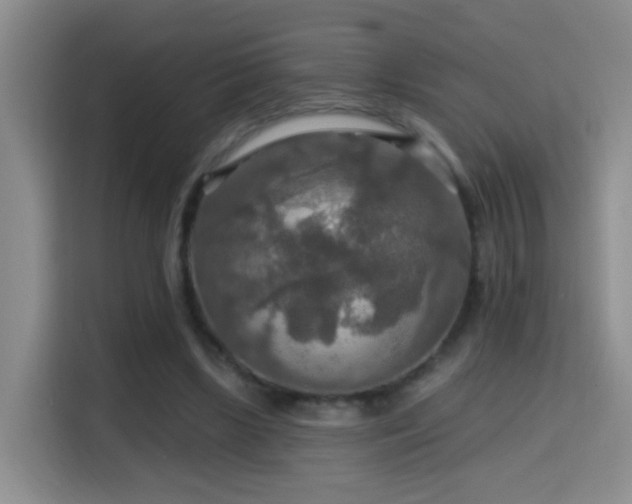 X0000114610443200910201156