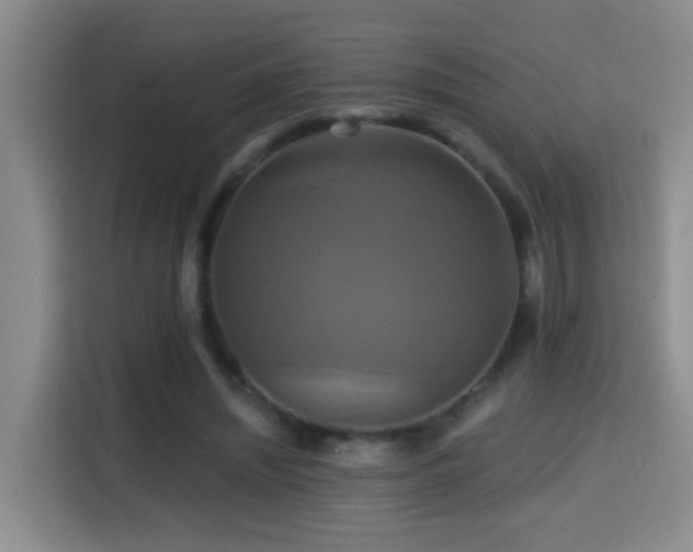 X0000114610444200910201156