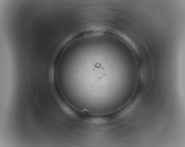 X0000114610445200910201156