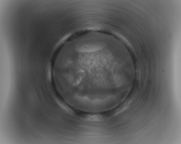 X0000114610446200910201156