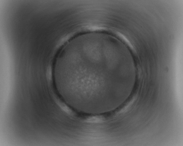 X0000114610447200910201156