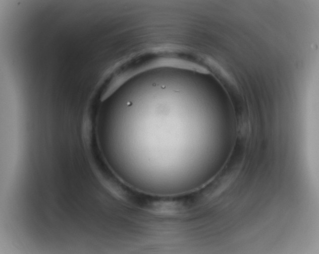 X0000114610448200910201156