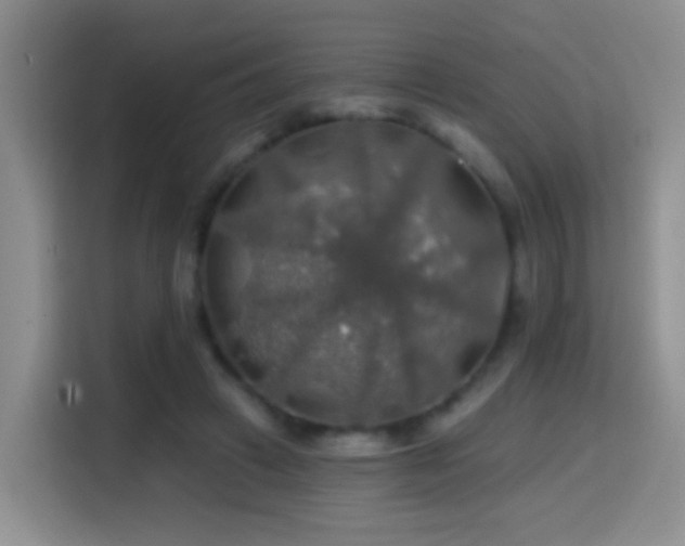 X0000114610449200910201156