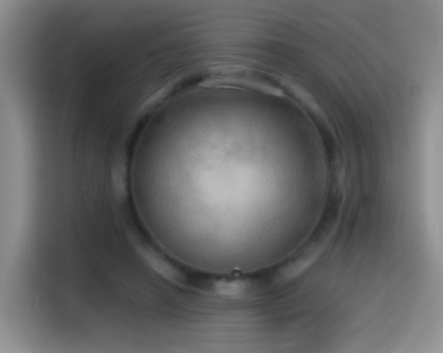 X0000114610450200910201156