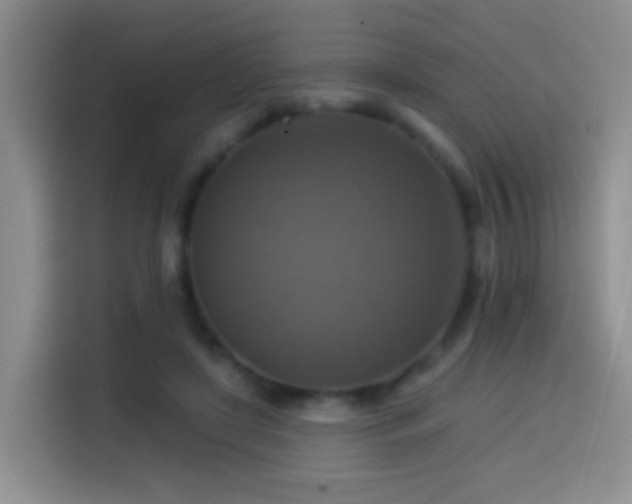 X0000114610451200910201156