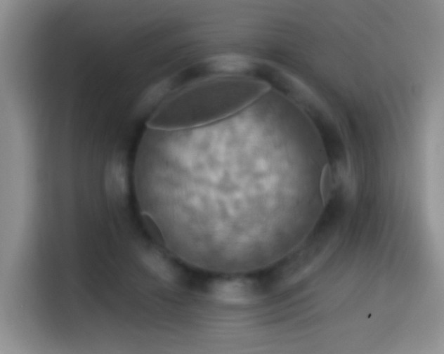 X0000114610452200910201156