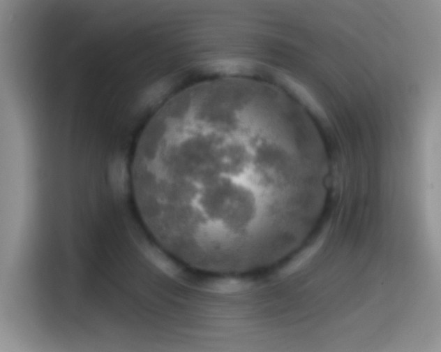 X0000114610453200910201156