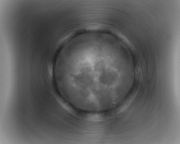 X0000114610454200910201156