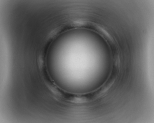 X0000114610455200910201156