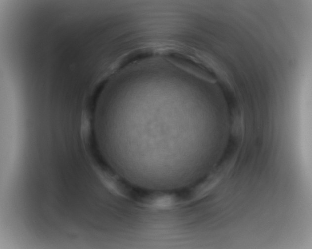 X0000114610456200910201156