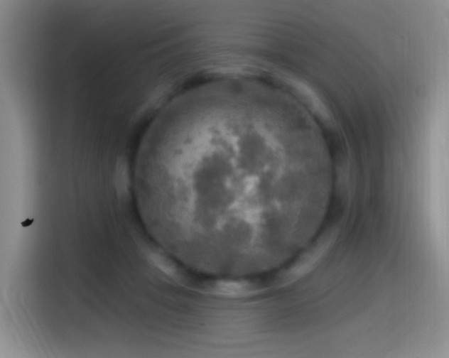 X0000114610457200910201156