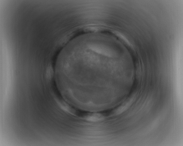 X0000114610459200910201156