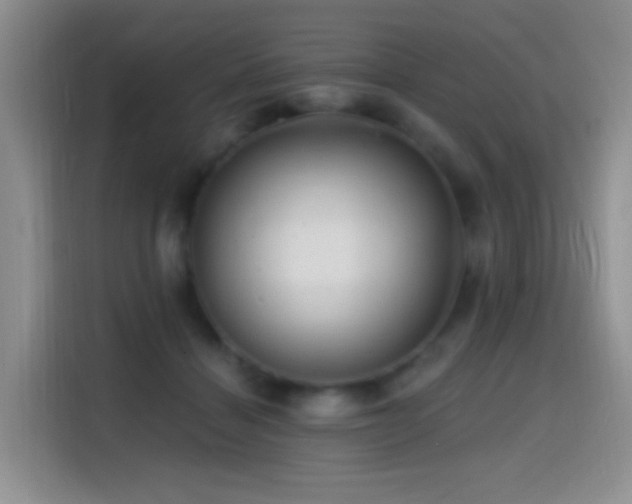 X0000114610460200910201156