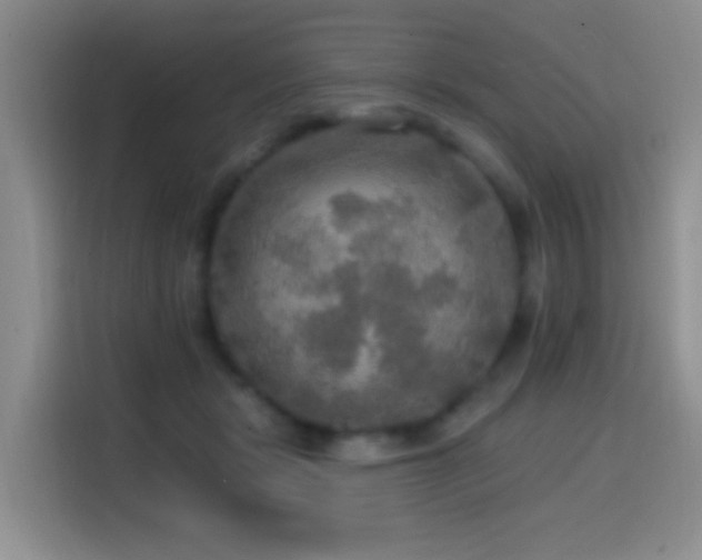 X0000114610461200910201156