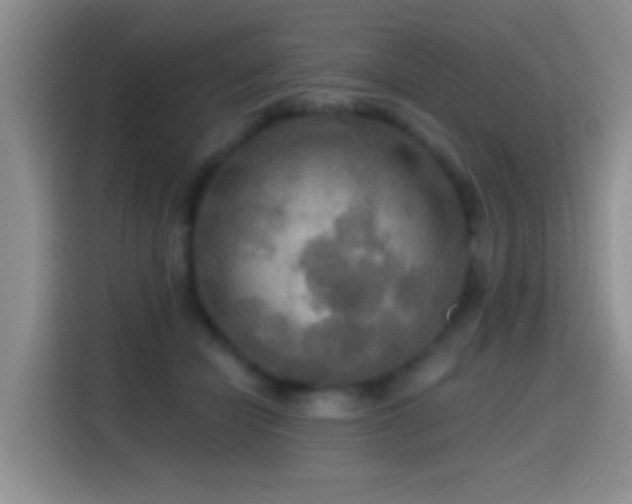 X0000114610462200910201156