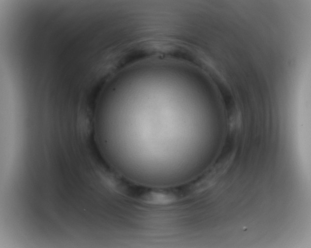 X0000114610464200910201156