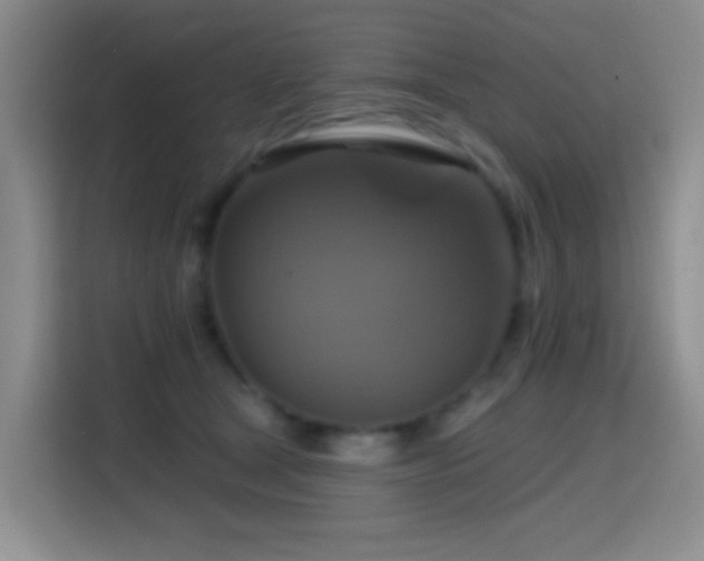 X0000114610465200910201156