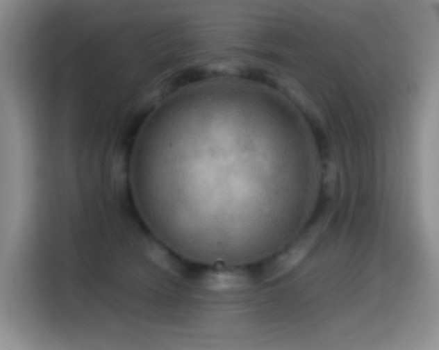 X0000114610466200910201156