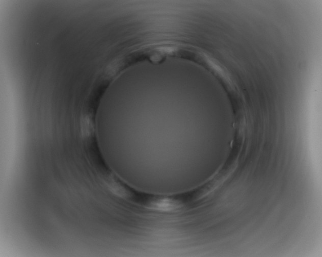 X0000114610467200910201156