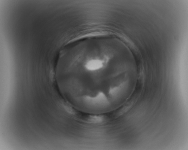 X0000114610469200910201156